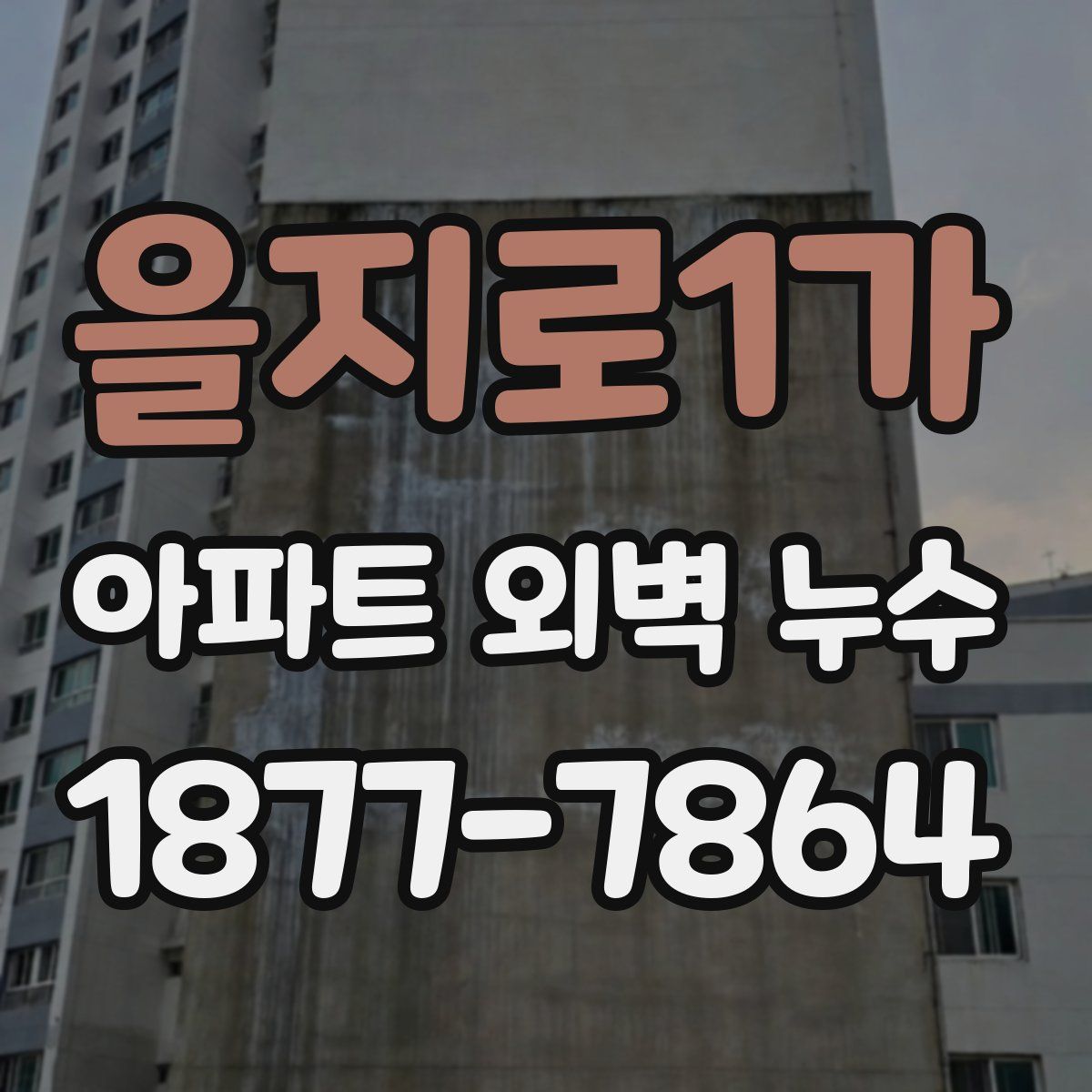 을지로1가 아파트 외벽 누수