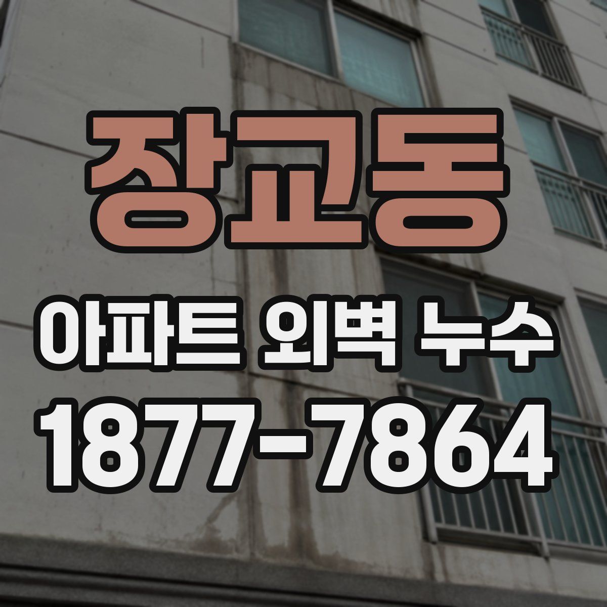 장교동 아파트 외벽 누수