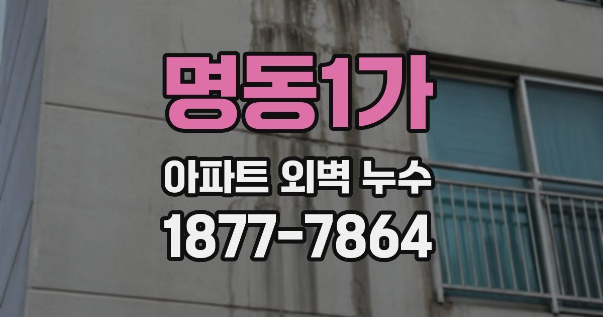 명동1가 아파트 외벽 누수