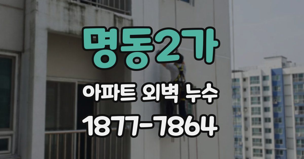명동2가 아파트 외벽 누수
