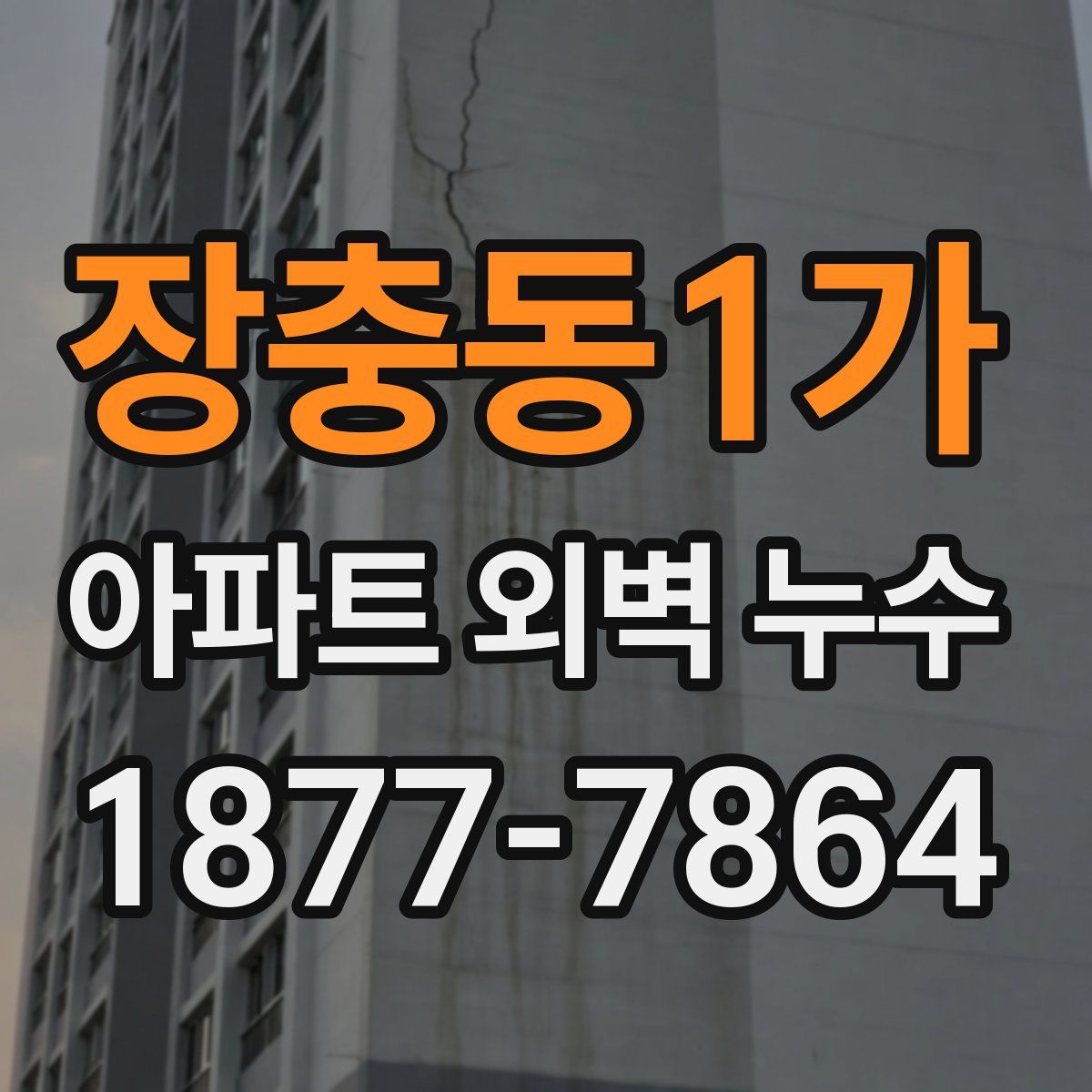 장충동1가 아파트 외벽 누수