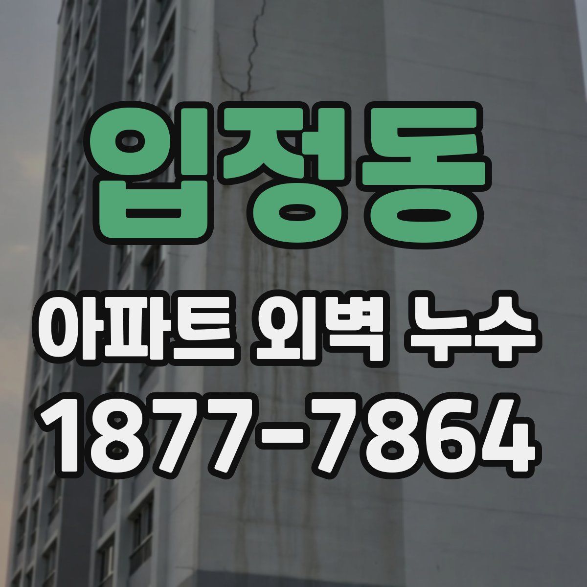 입정동 아파트 외벽 누수
