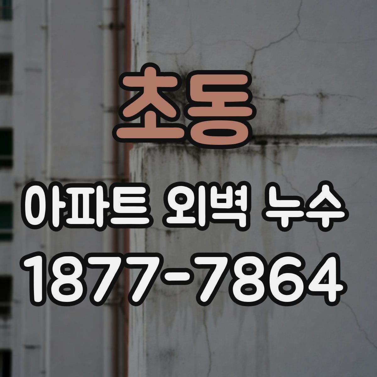 초동 아파트 외벽 누수 보수 공법을 선택하는 기준