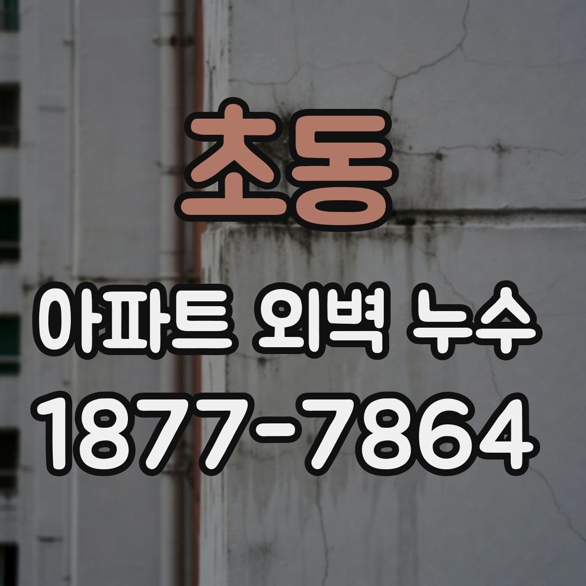 초동 아파트 외벽 누수