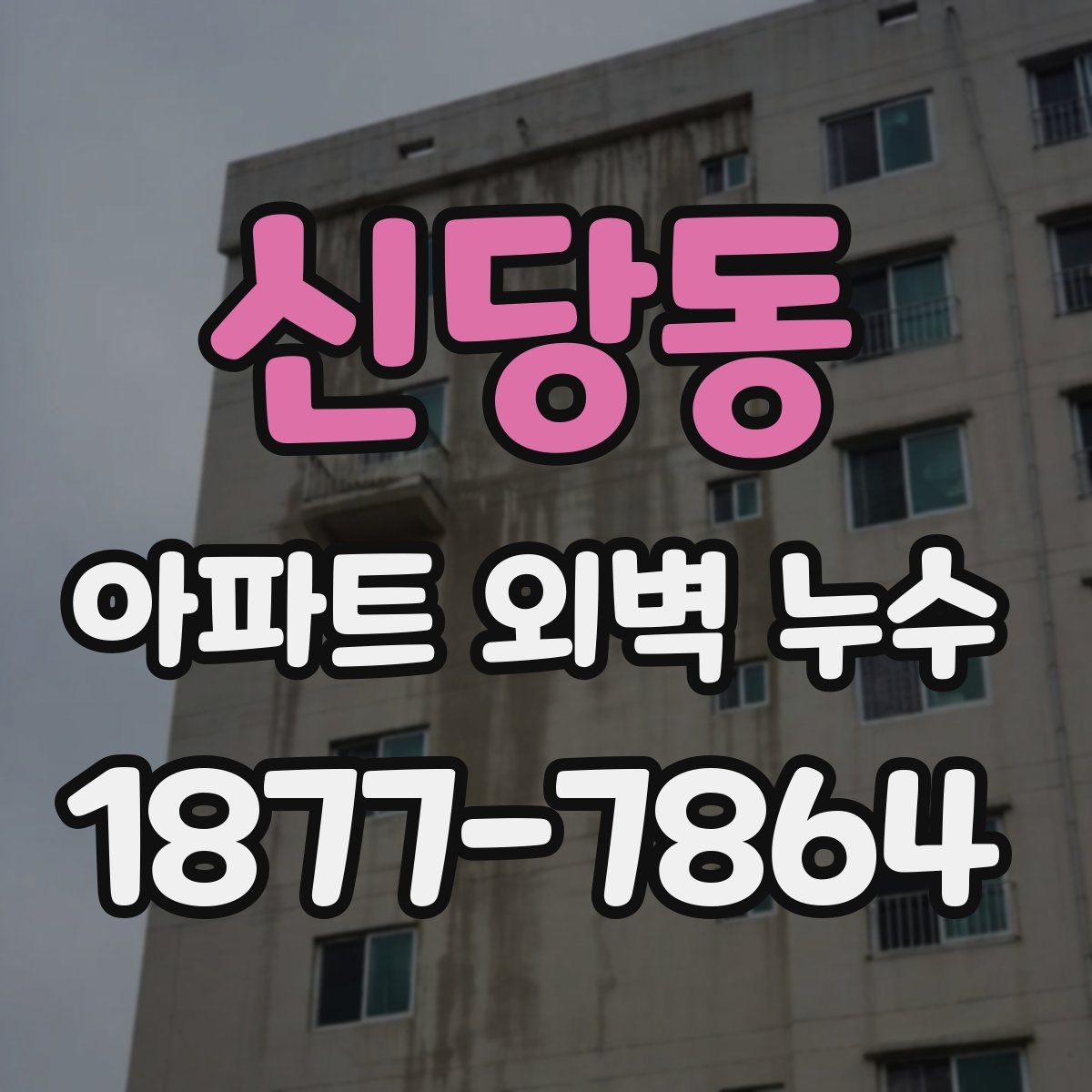 신당동 아파트 외벽 누수