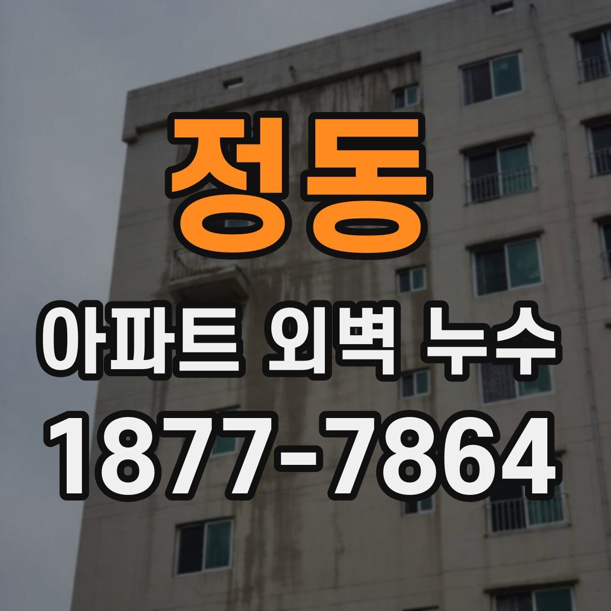정동 아파트 외벽 누수