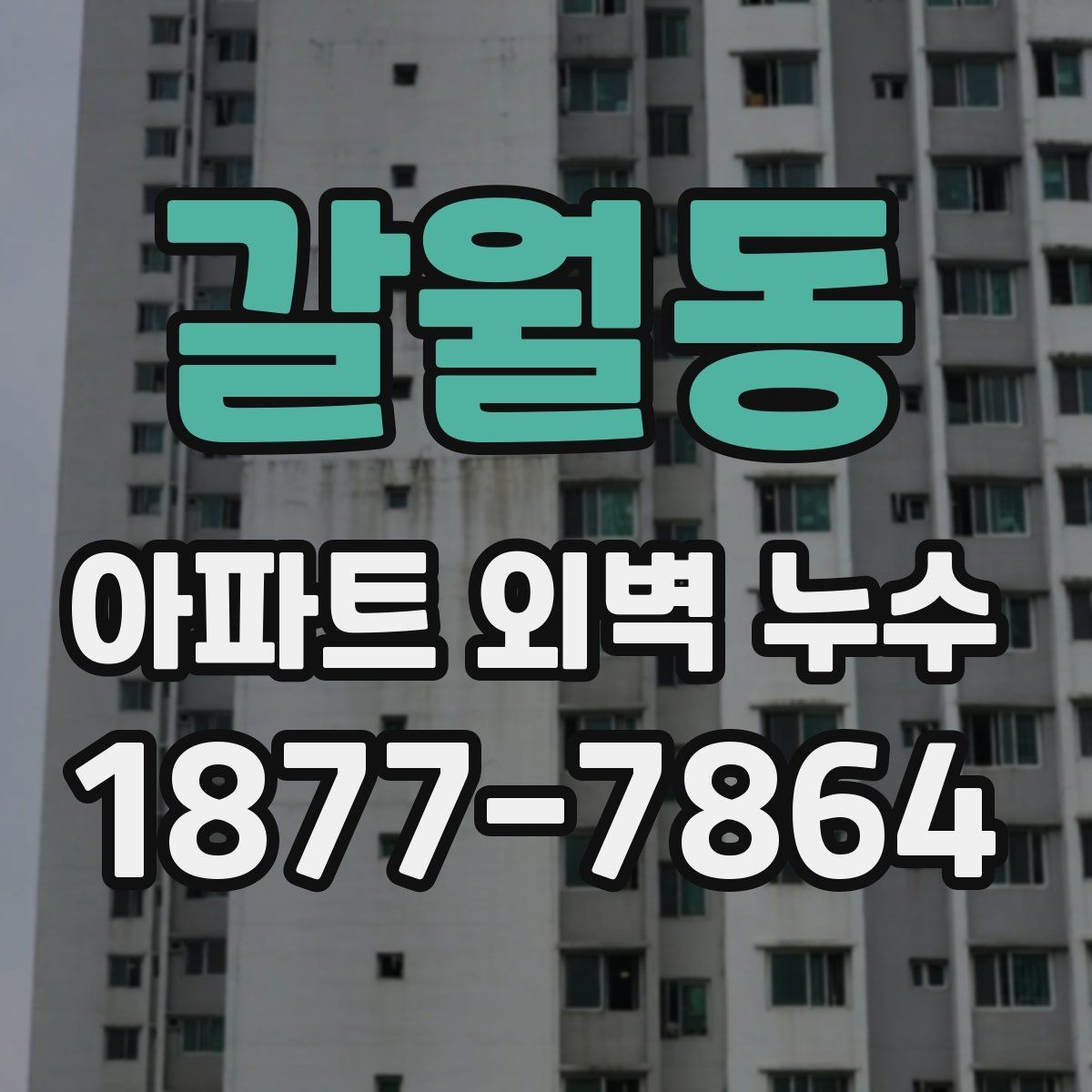갈월동 아파트 외벽 누수 주변 세대와 함께 확인해야 할 부분