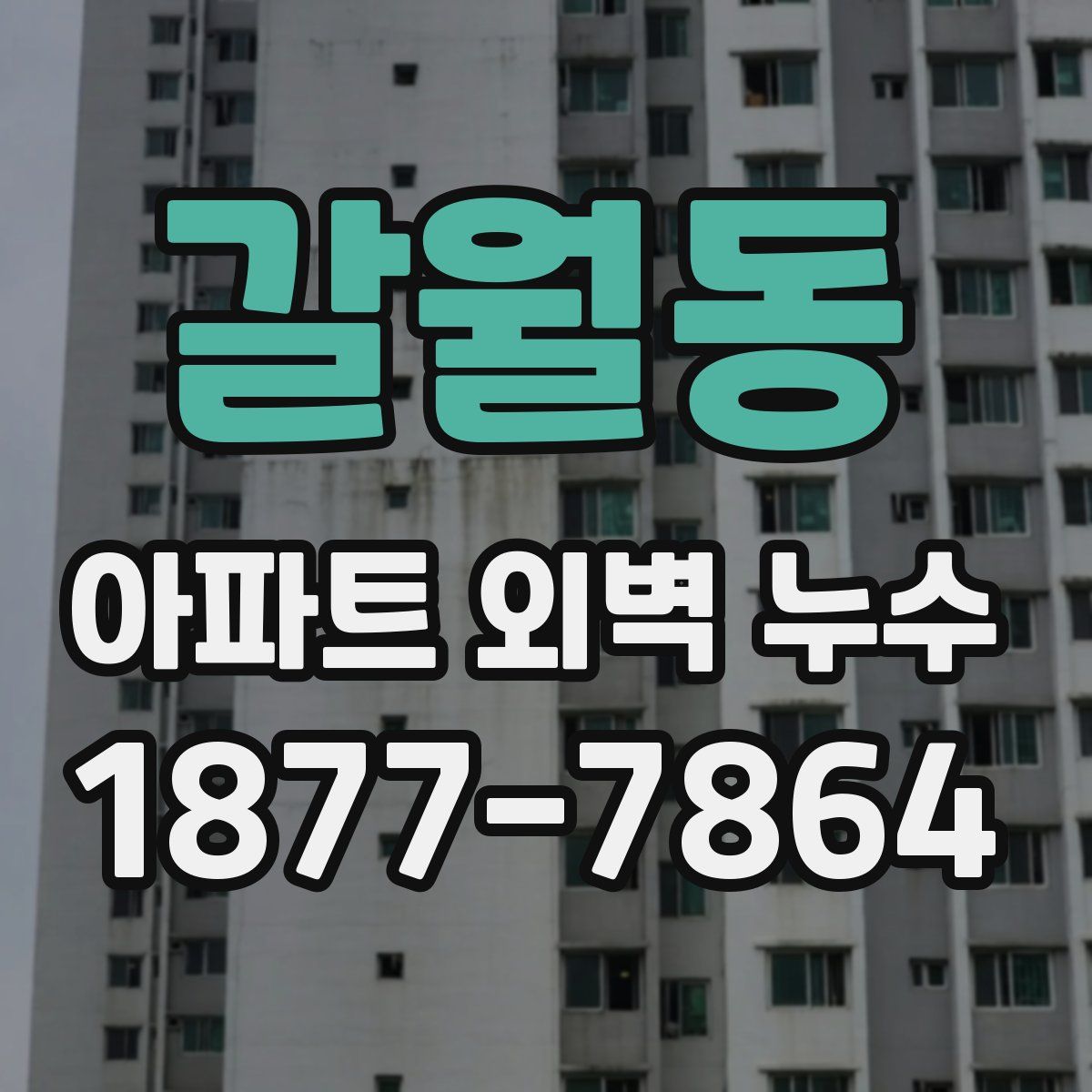 갈월동 아파트 외벽 누수