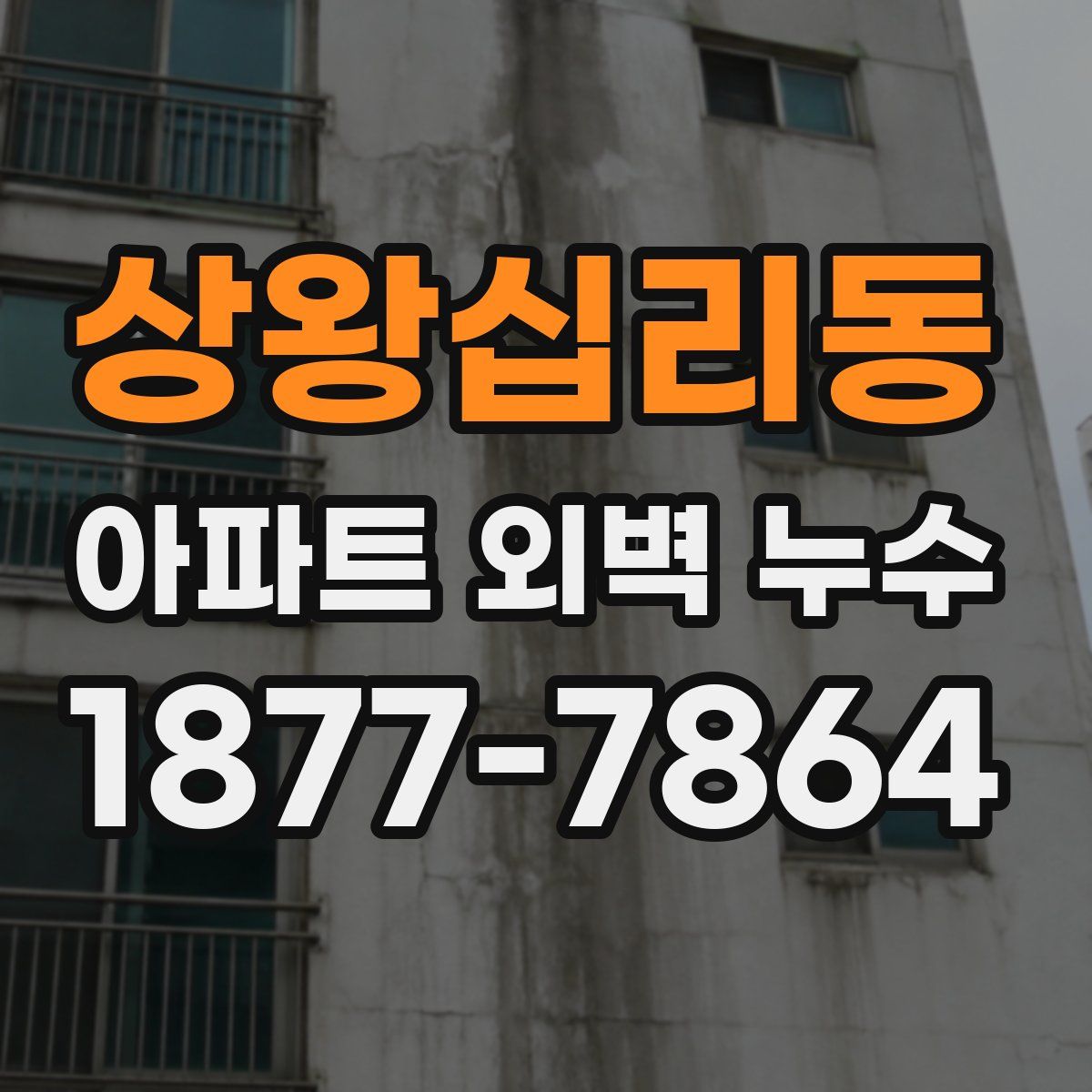 상왕십리동 아파트 외벽 누수