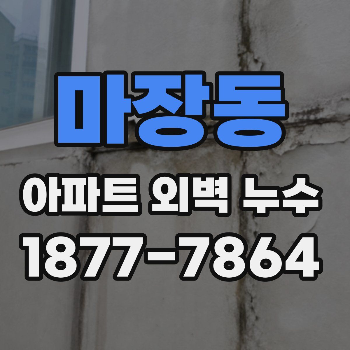 마장동 아파트 외벽 누수