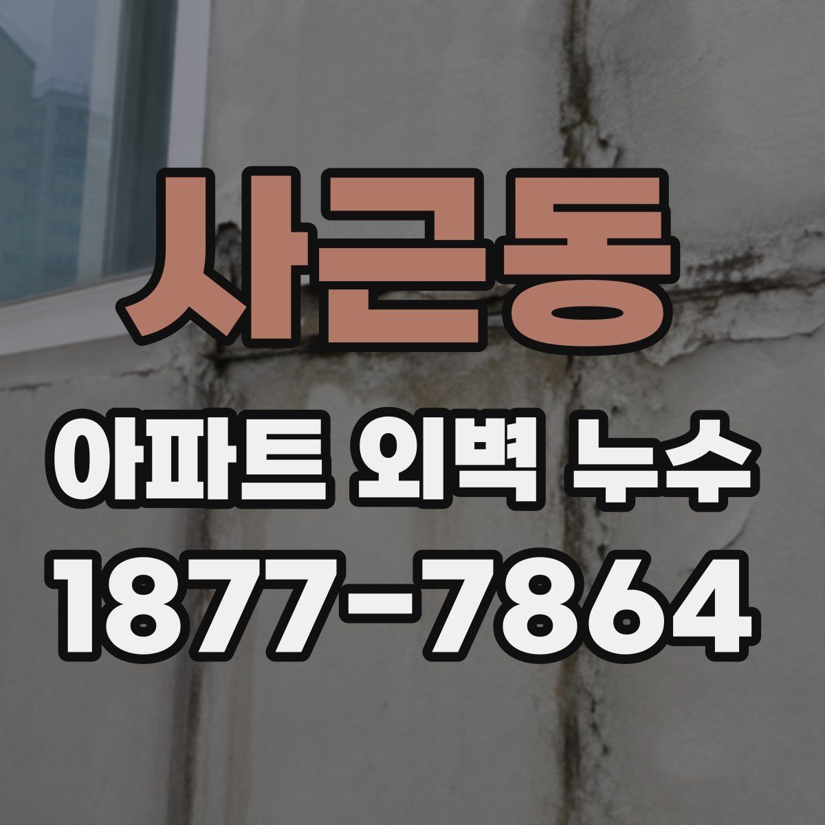 사근동 아파트 외벽 누수