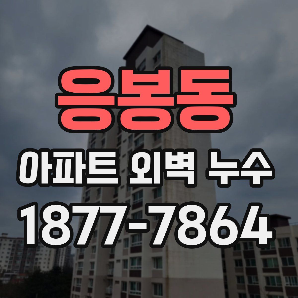 응봉동 아파트 외벽 누수
