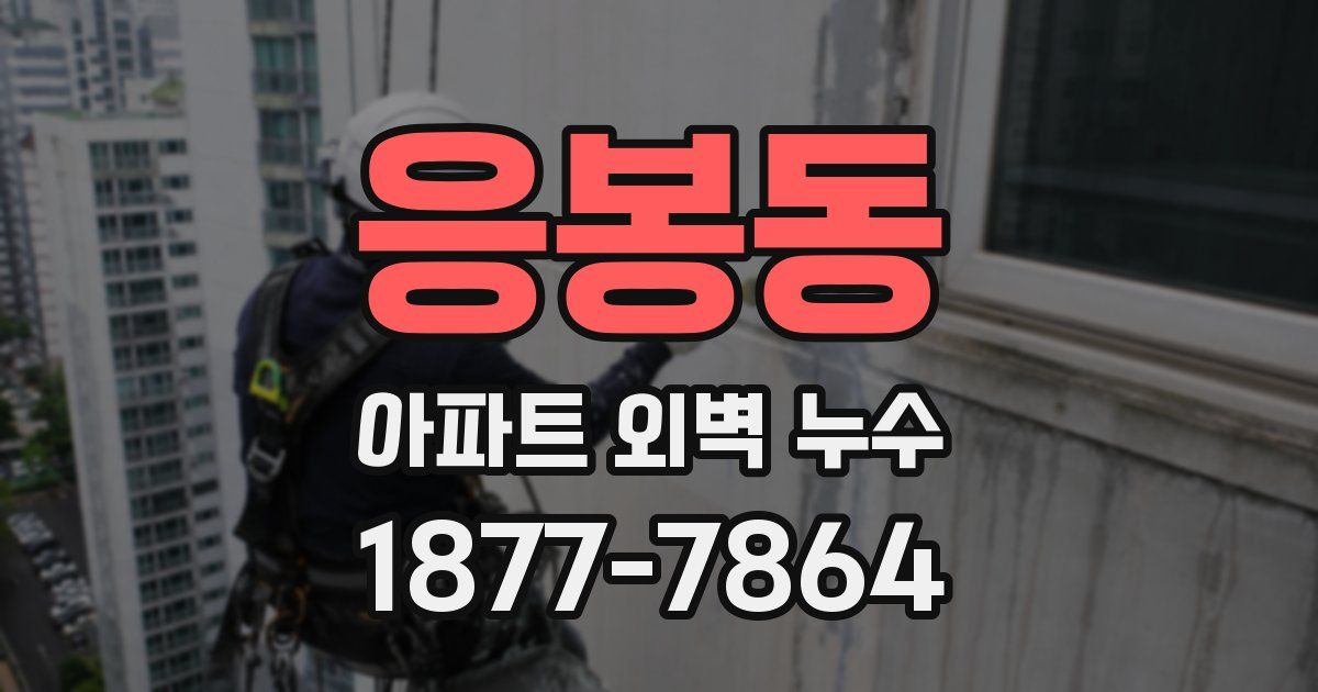 응봉동 아파트 외벽 누수