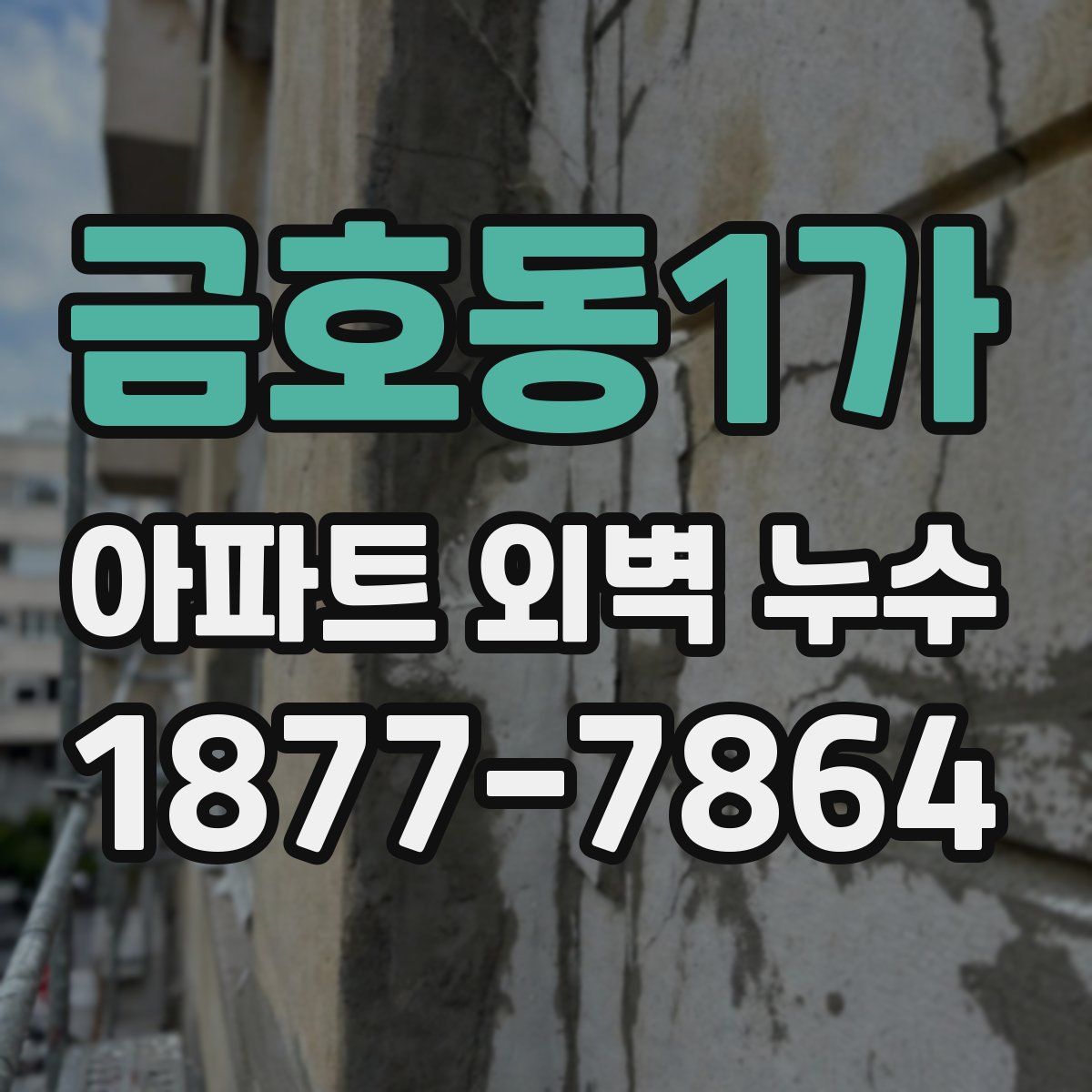 금호동1가 아파트 외벽 누수
