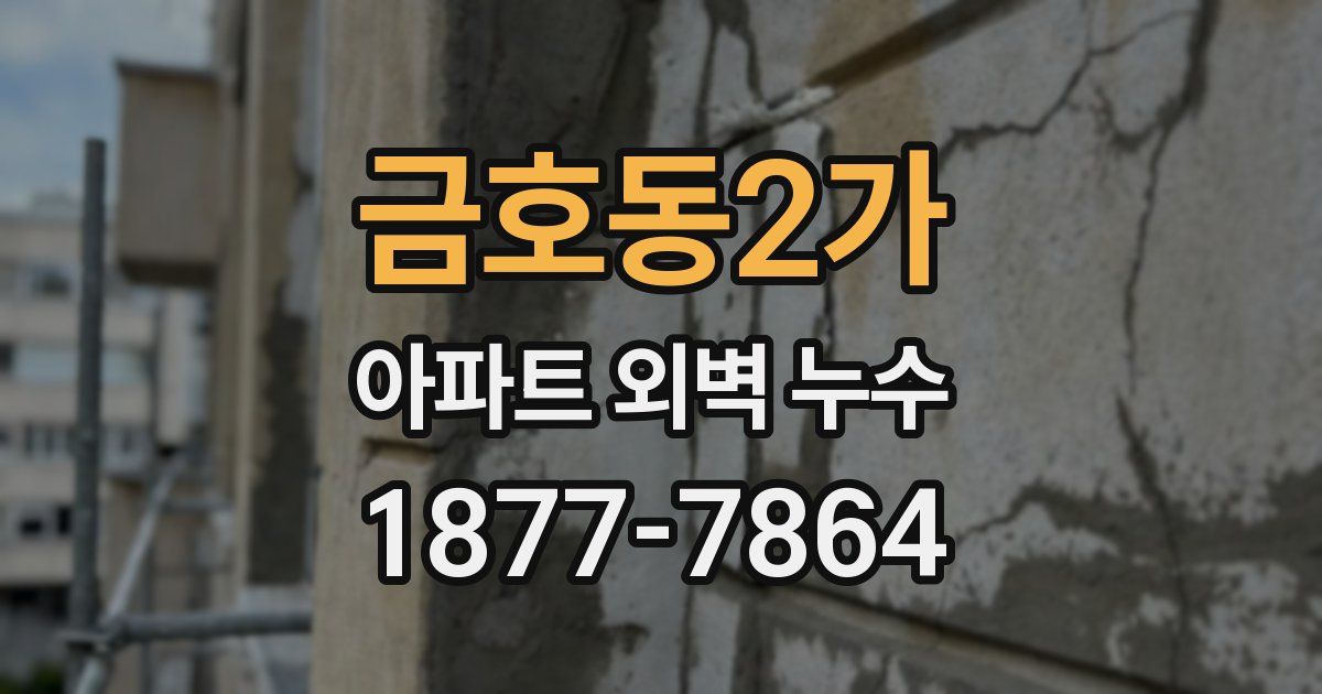 금호동2가 아파트 외벽 누수