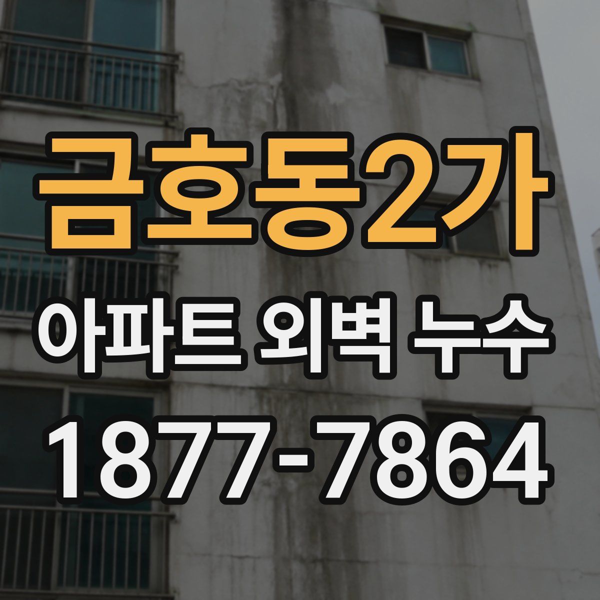 금호동2가 아파트 외벽 누수