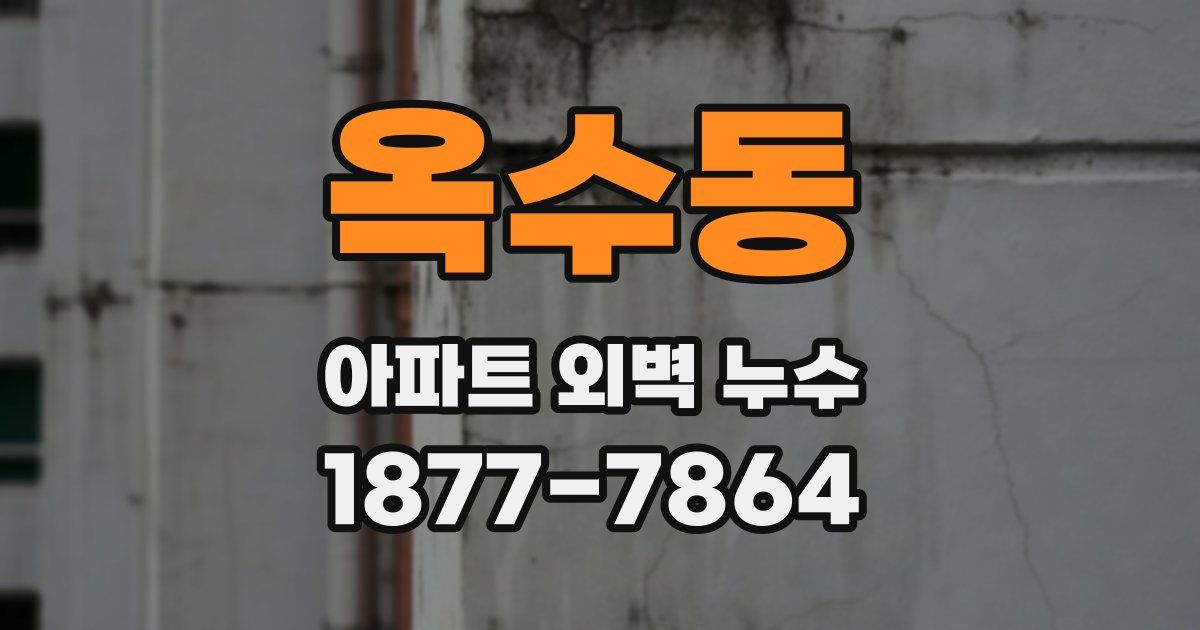 옥수동 아파트 외벽 누수