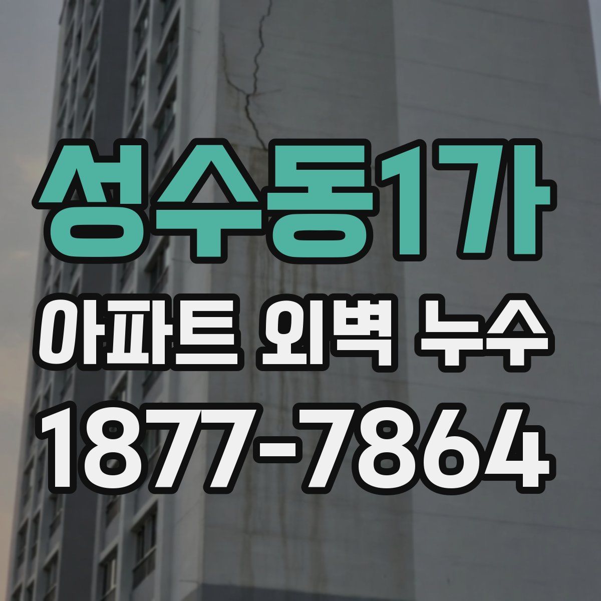 성수동1가 아파트 외벽 누수