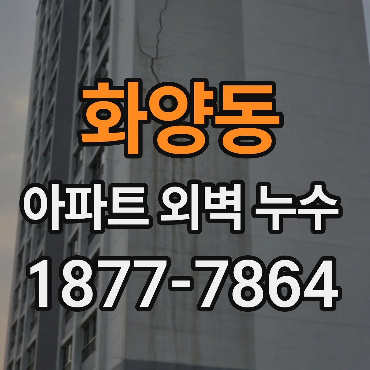 화양동 아파트 외벽 누수