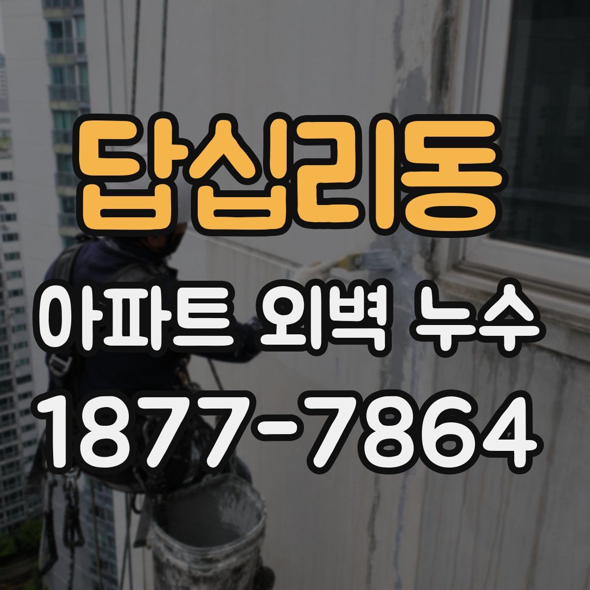 답십리동 아파트 외벽 누수