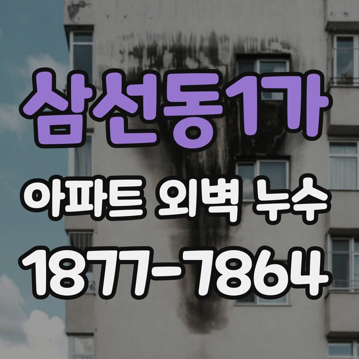삼선동1가 아파트 외벽 누수