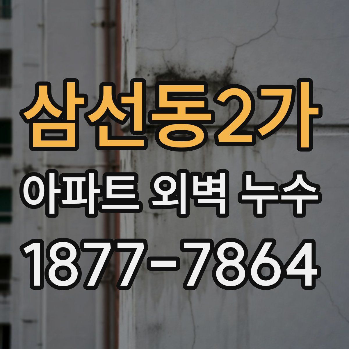 삼선동2가 아파트 외벽 누수