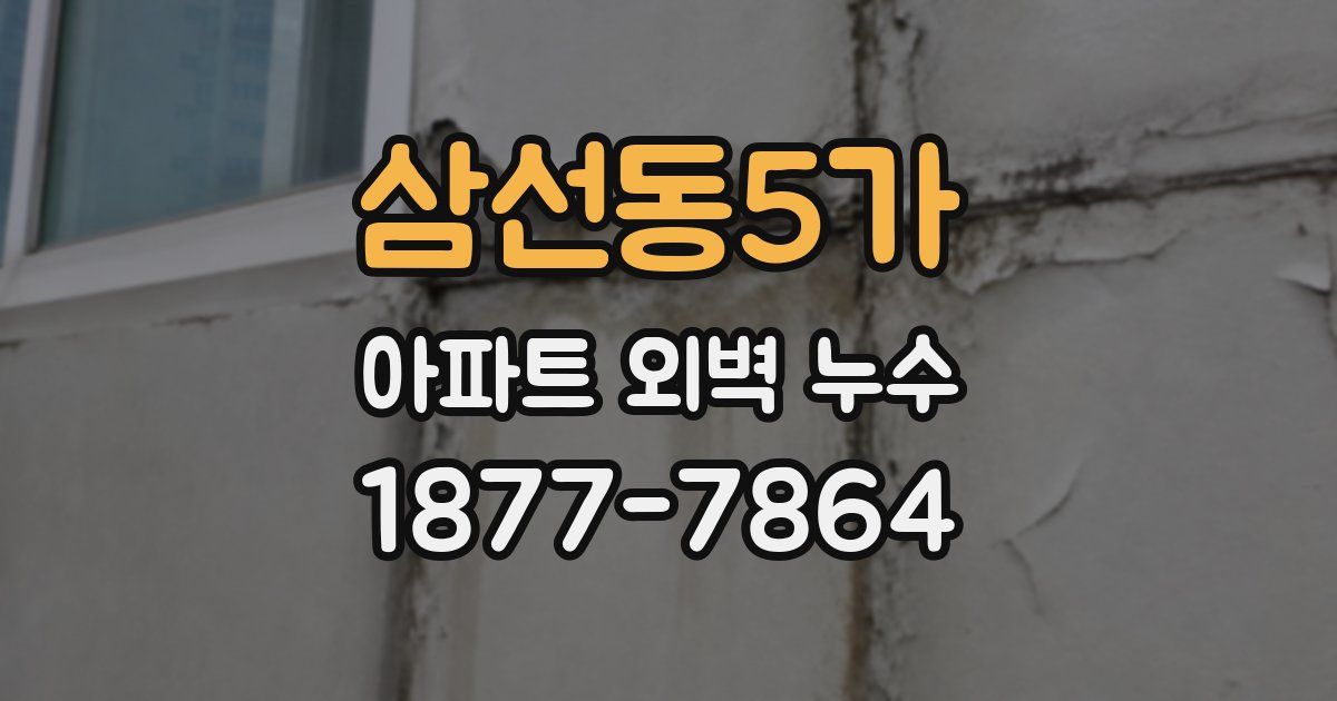 삼선동5가 아파트 외벽 누수
