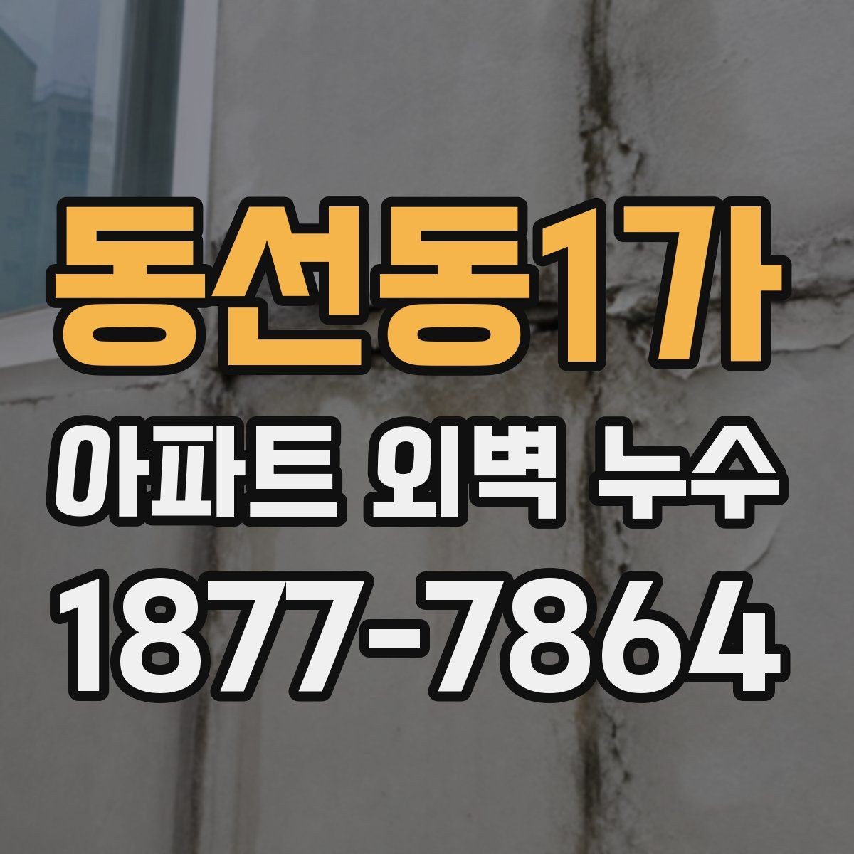 동선동1가 아파트 외벽 누수 보수 범위를 두고 확인할 쟁점