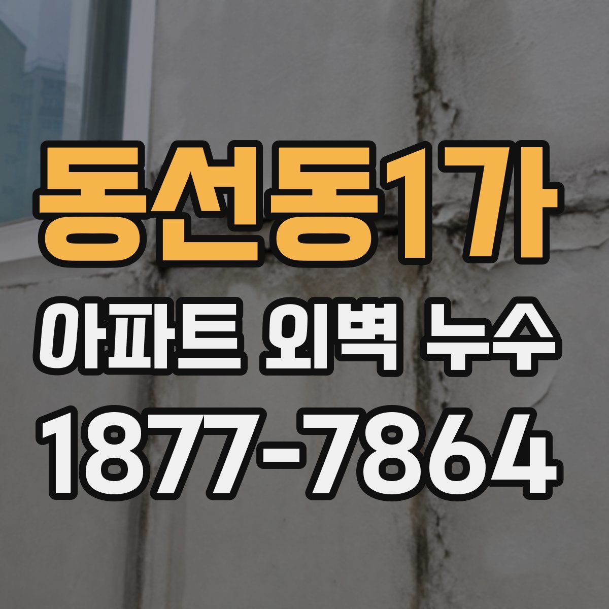 동선동1가 아파트 외벽 누수