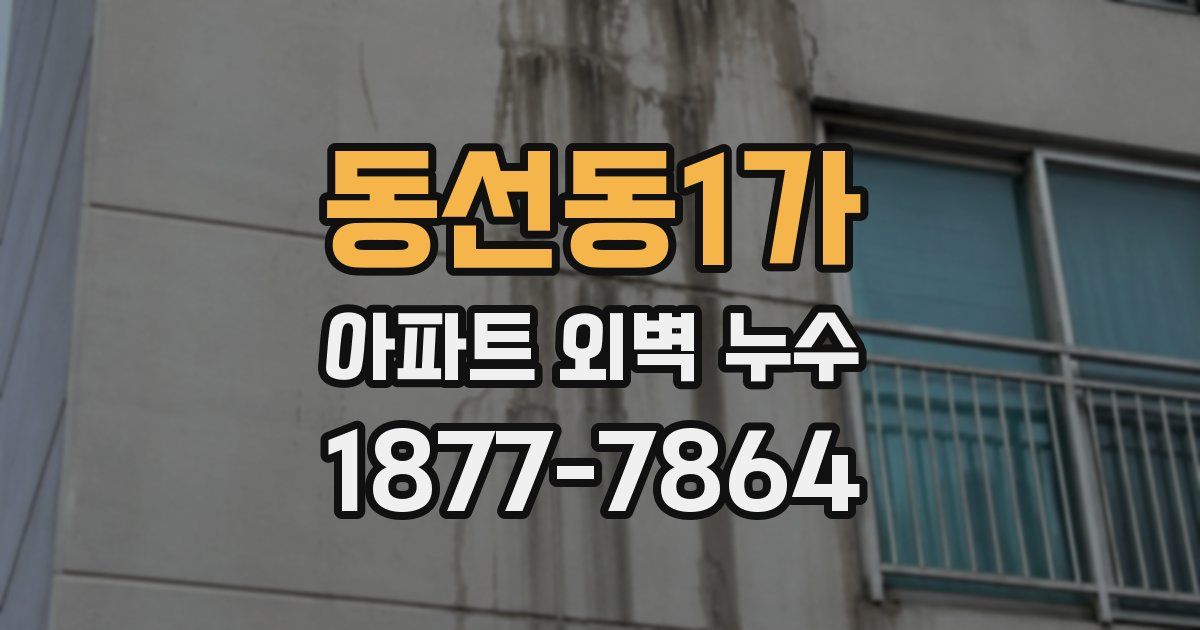 동선동1가 아파트 외벽 누수
