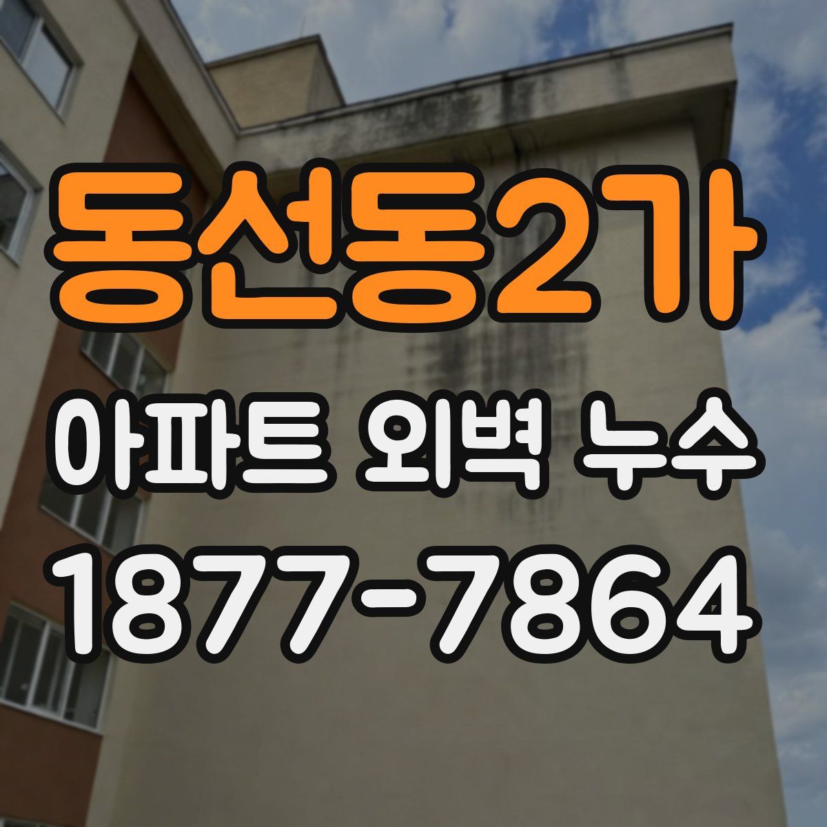 동선동2가 아파트 외벽 누수