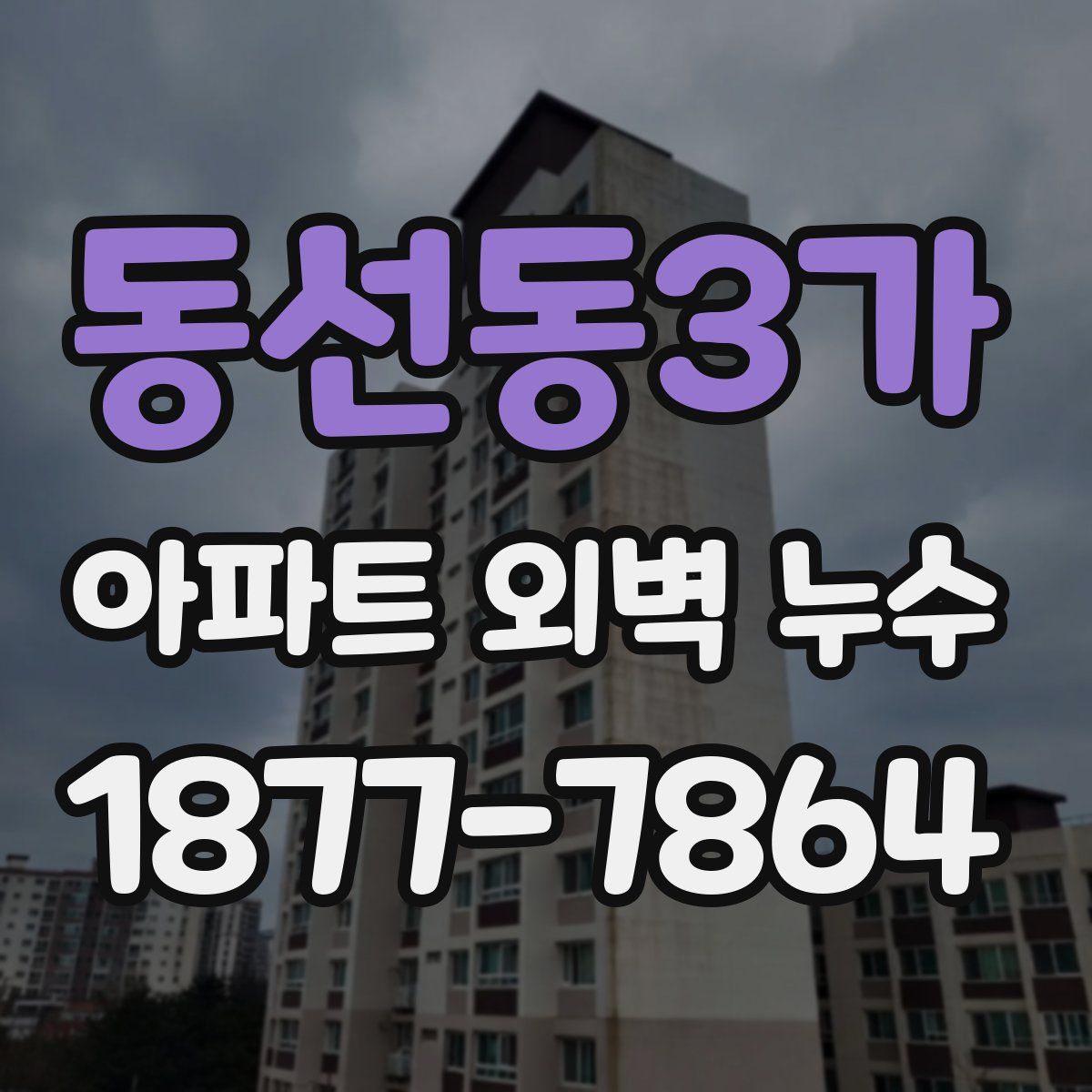 동선동3가 아파트 외벽 누수