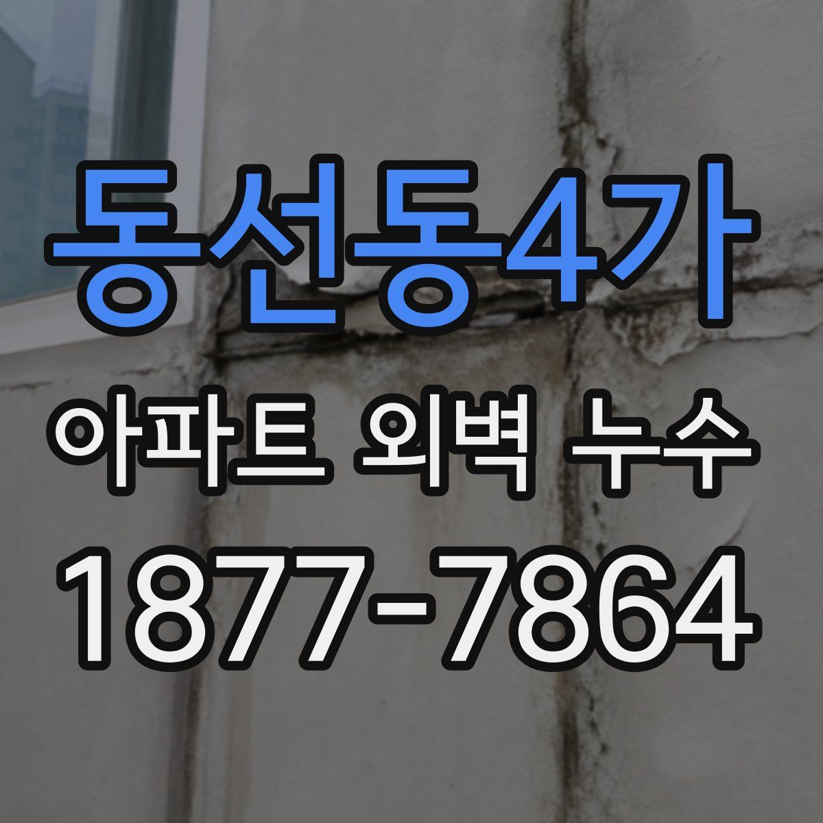 동선동4가 아파트 외벽 누수