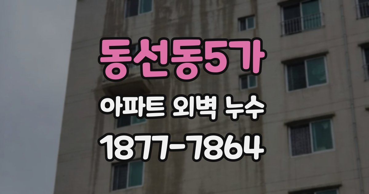동선동5가 아파트 외벽 누수