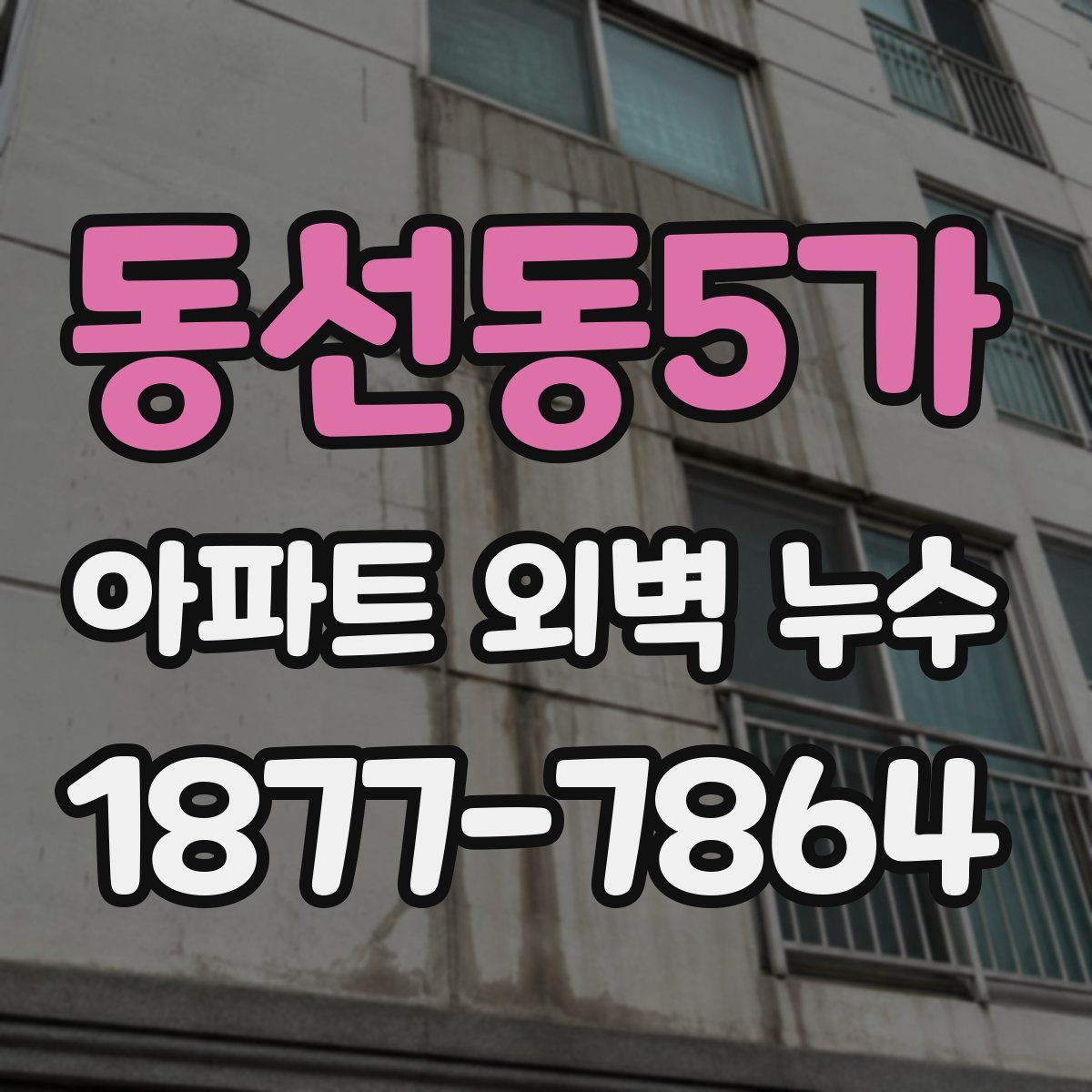 동선동5가 아파트 외벽 누수