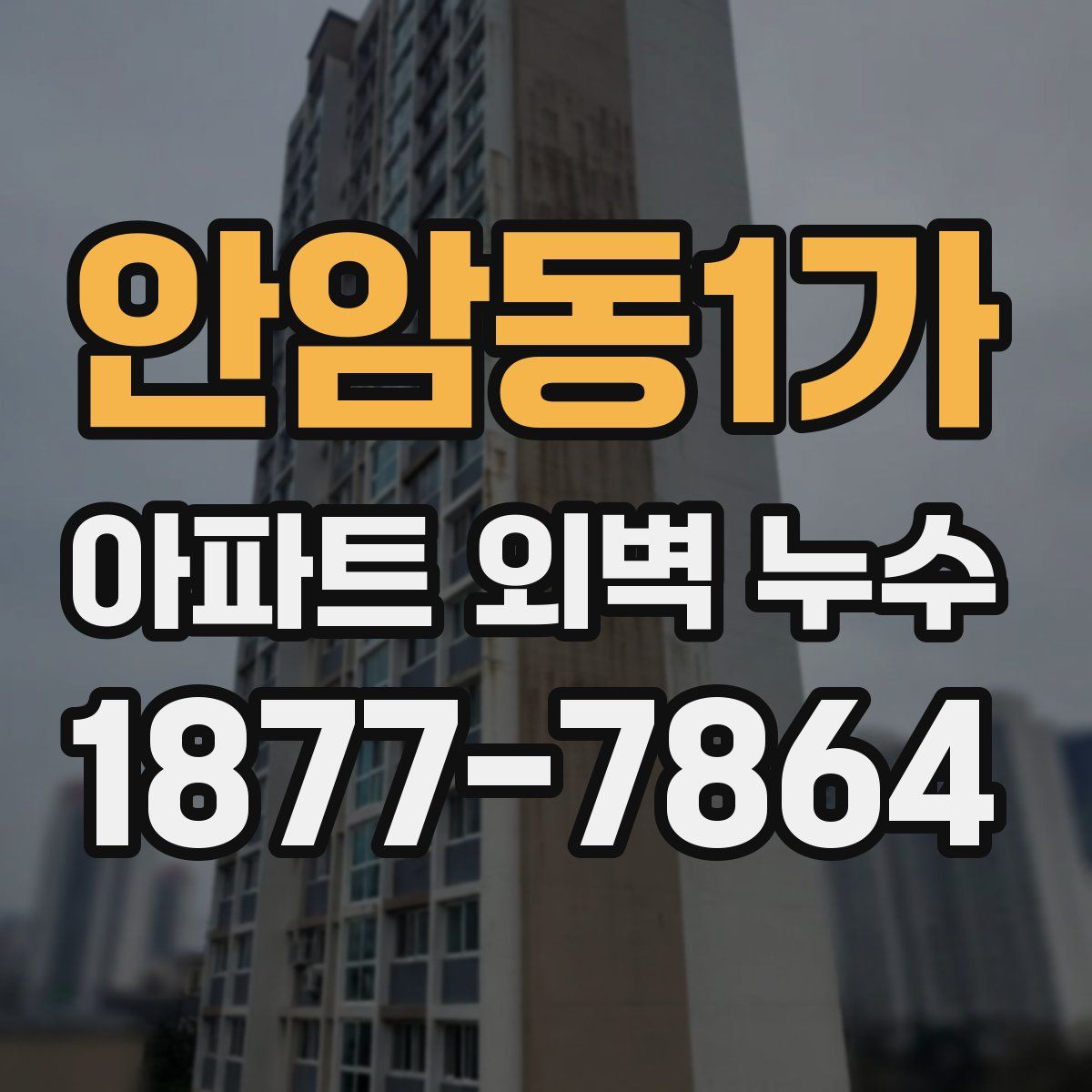 안암동1가 아파트 외벽 누수