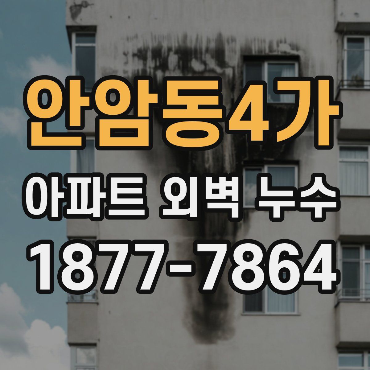 안암동4가 아파트 외벽 누수