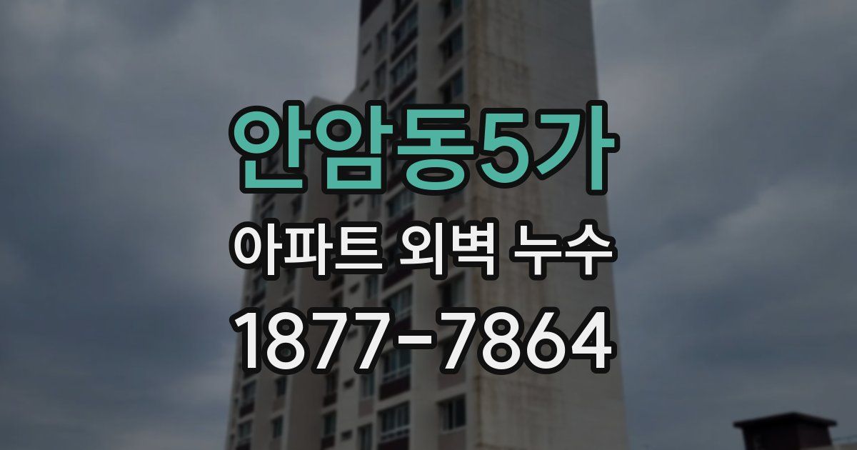 안암동5가 아파트 외벽 누수