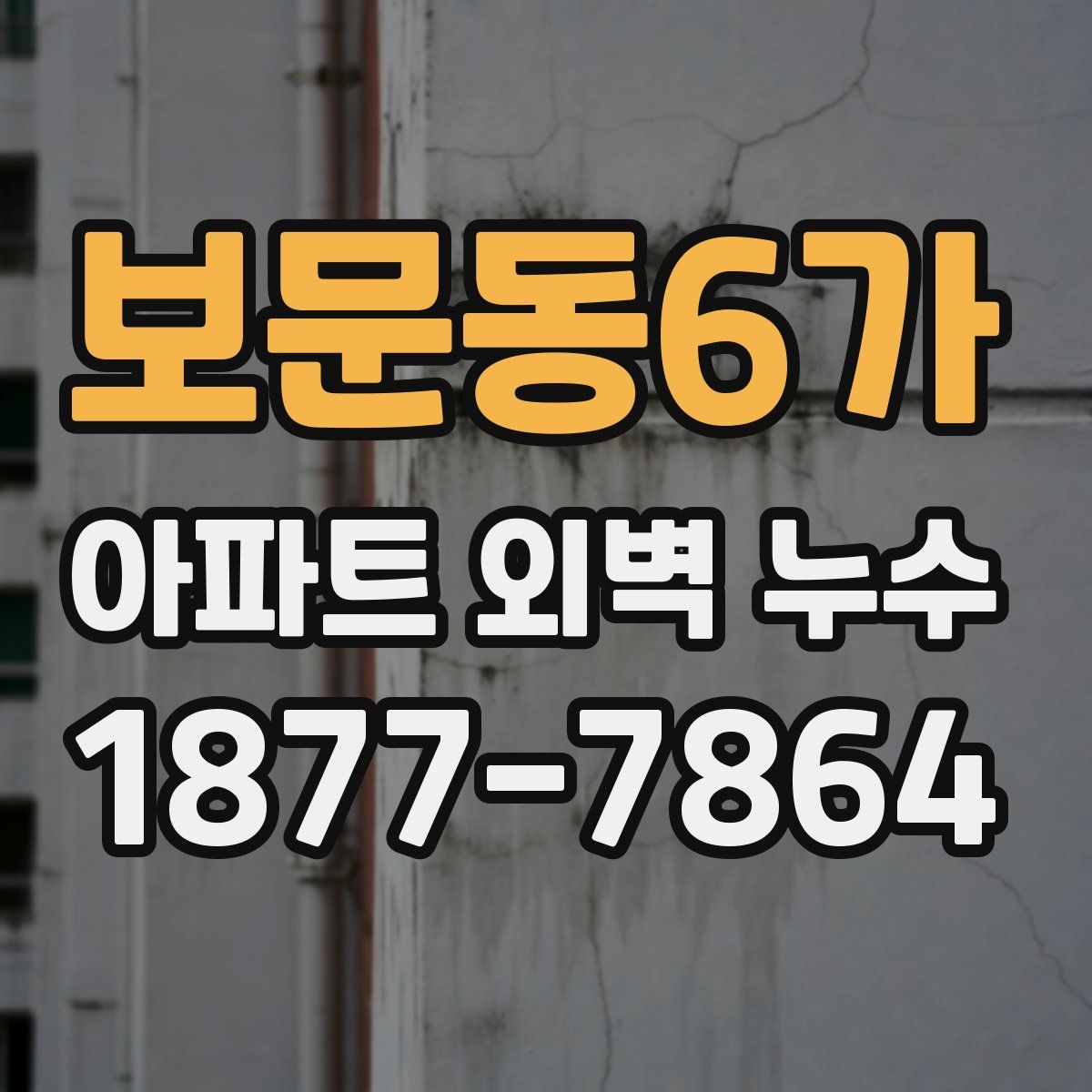 보문동6가 아파트 외벽 누수