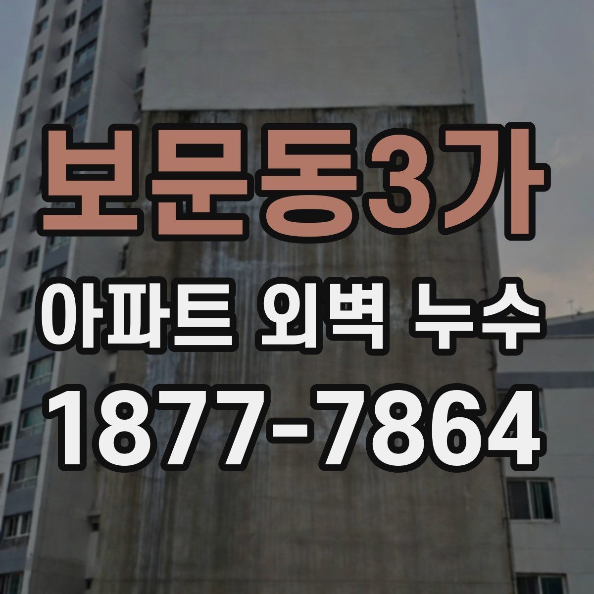 보문동3가 아파트 외벽 누수 관리사무소에 요청할 내용
