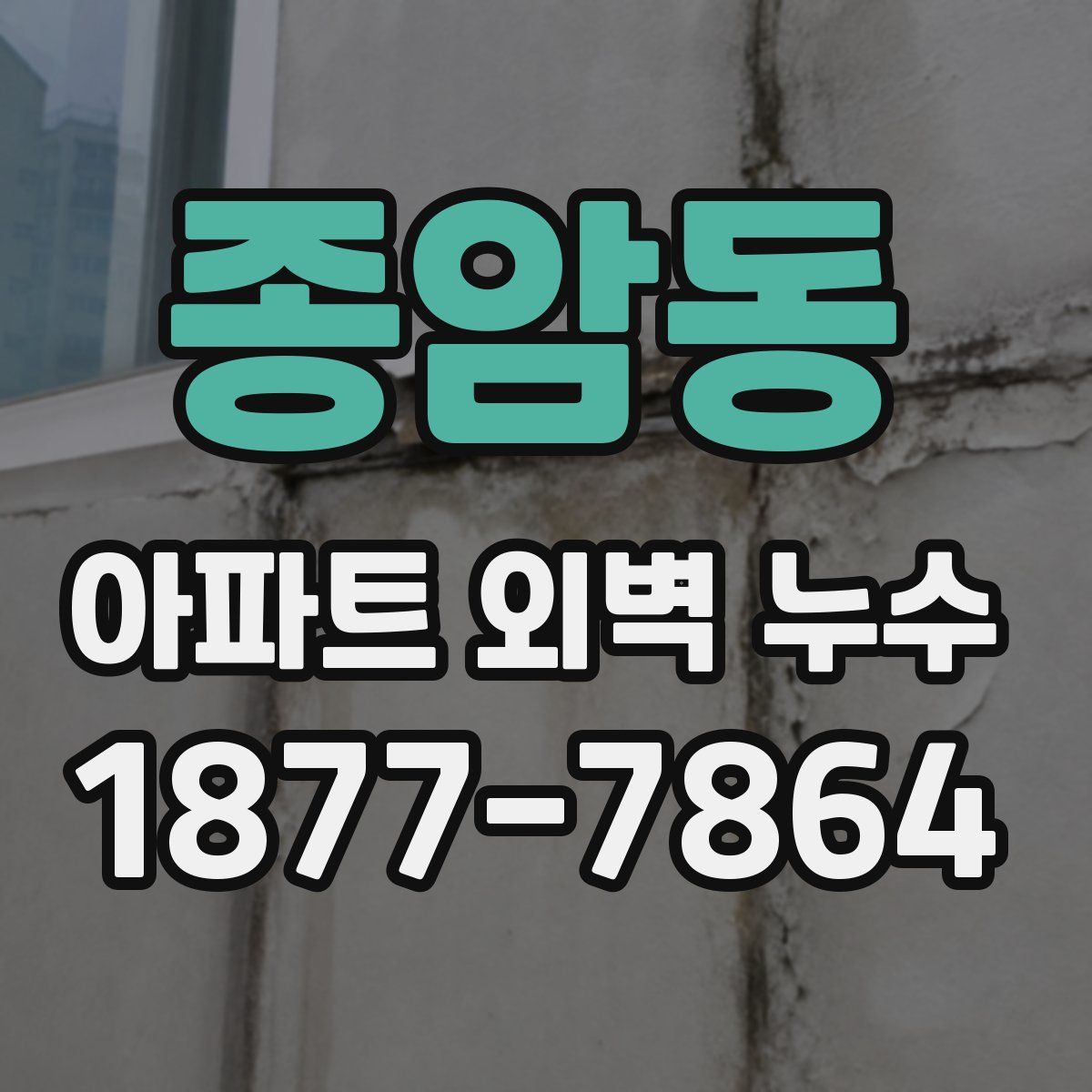 종암동 아파트 외벽 누수