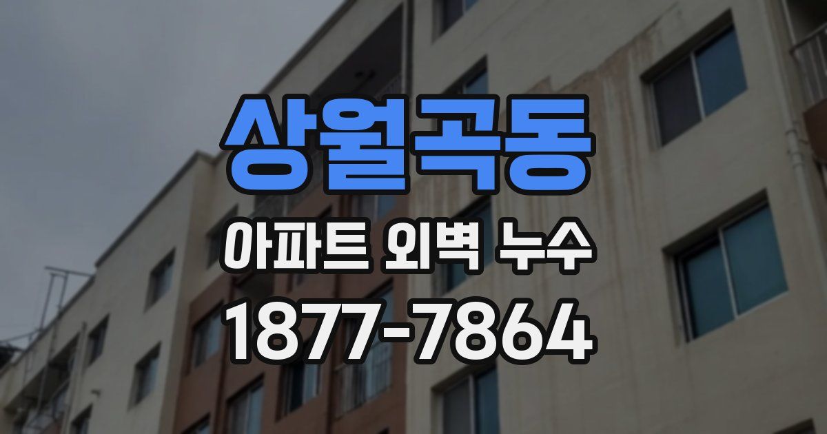 상월곡동 아파트 외벽 누수