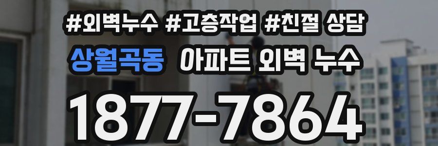 상월곡동 아파트 외벽 누수