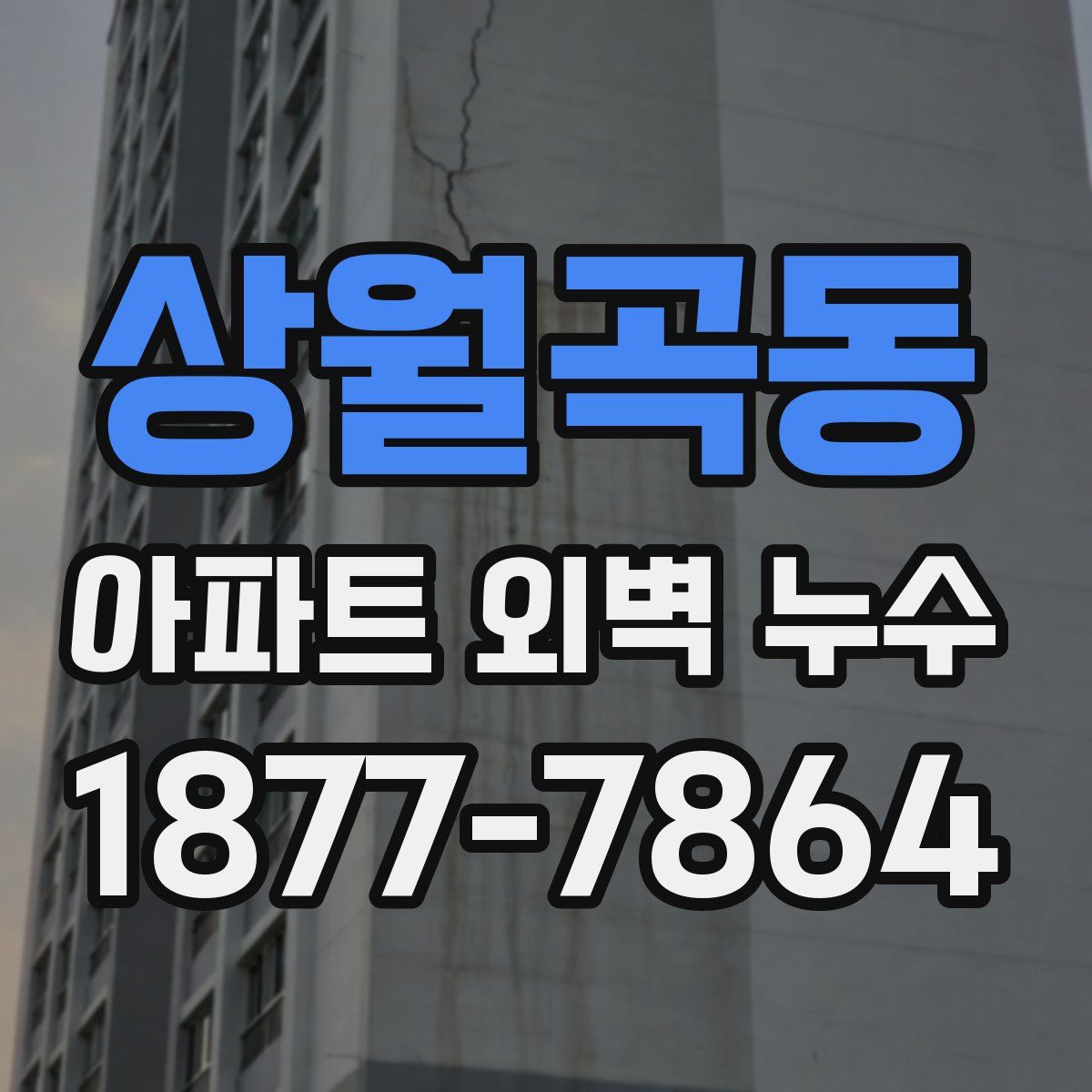 상월곡동 아파트 외벽 누수