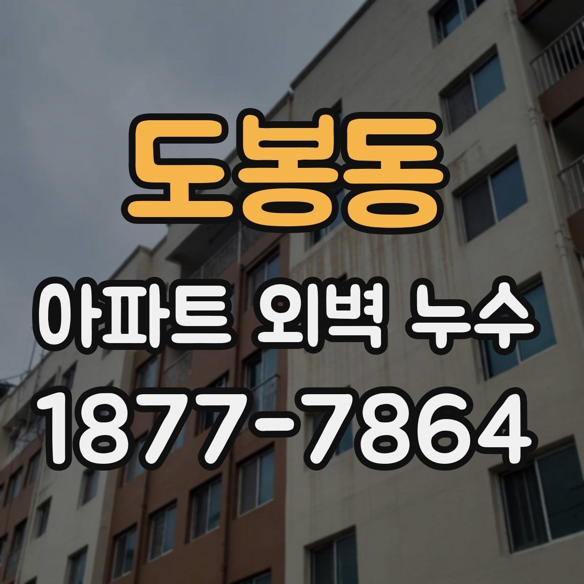 도봉동 아파트 외벽 누수 점검 결과를 이해하는 법