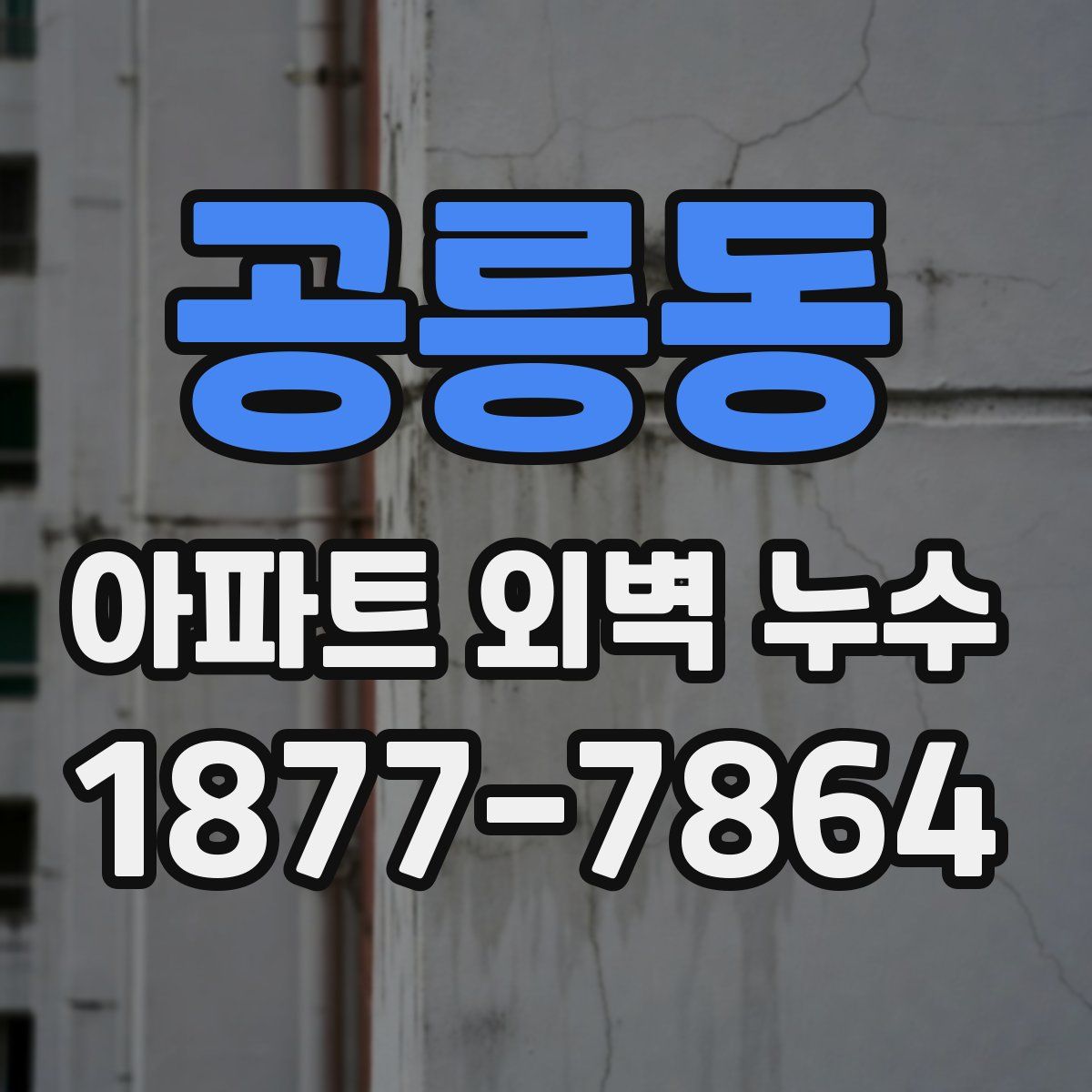 공릉동 아파트 외벽 누수