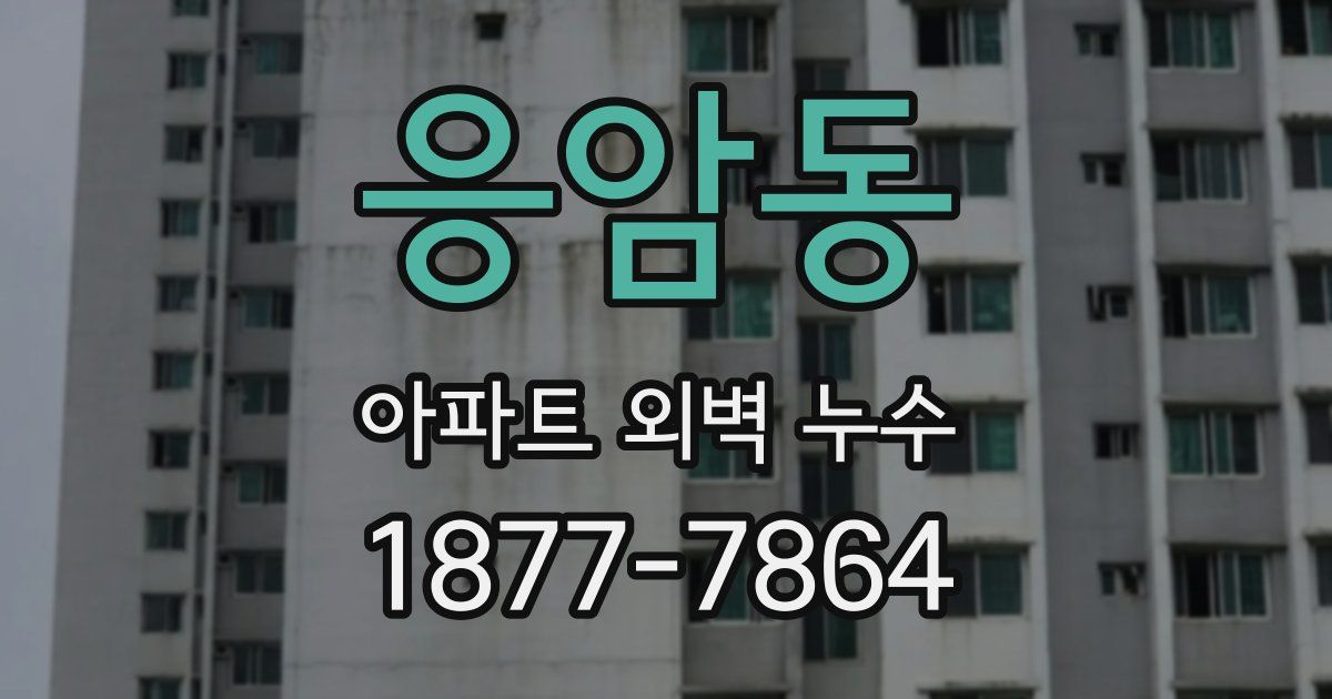 응암동 아파트 외벽 누수