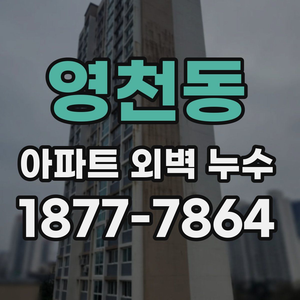 영천동 아파트 외벽 누수