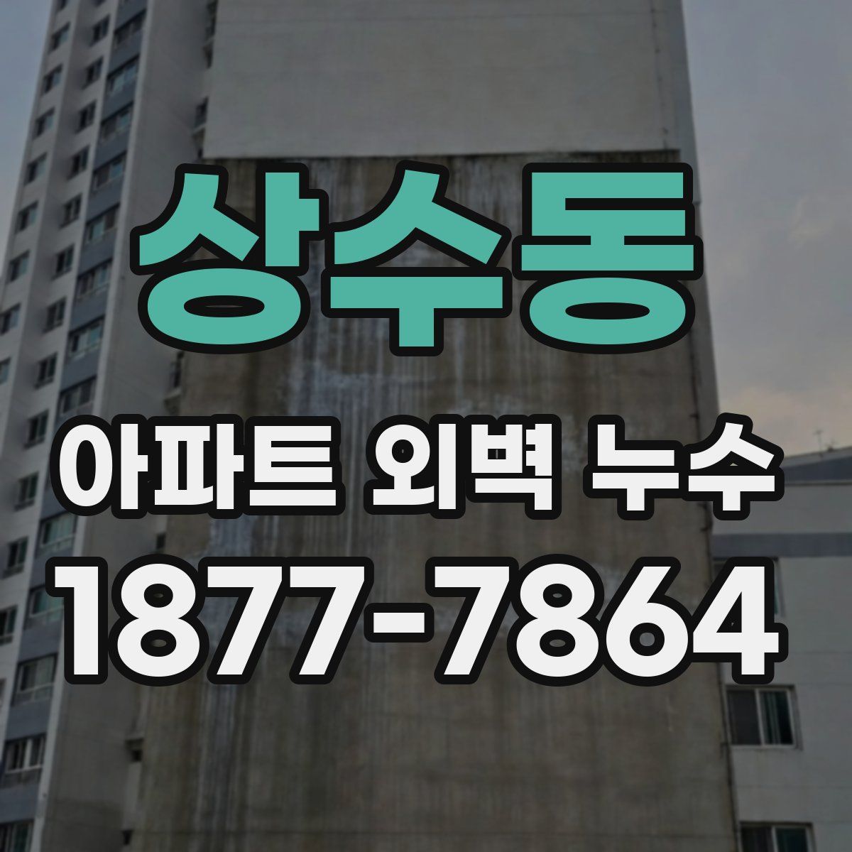 상수동 아파트 외벽 누수