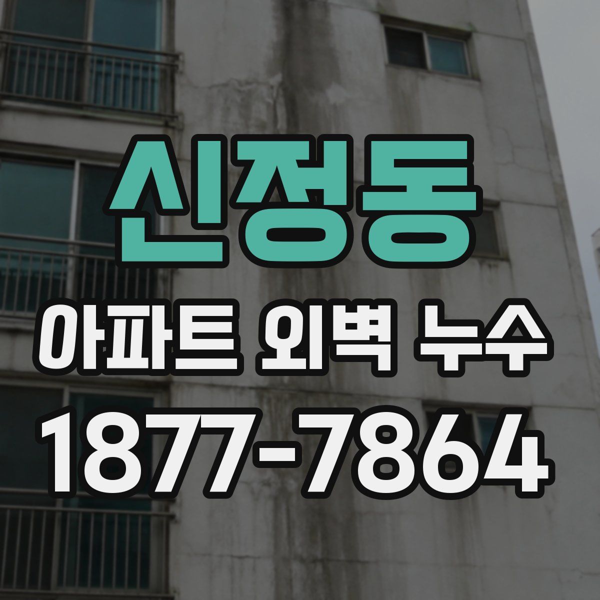 신정동 아파트 외벽 누수